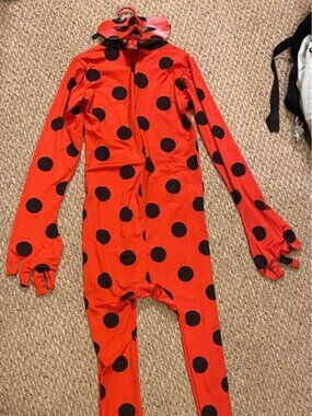 Miraculous Ladybug Costume and Mask